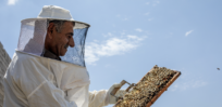 Syrian refugee turns beekeeping passion into business with cash assistance